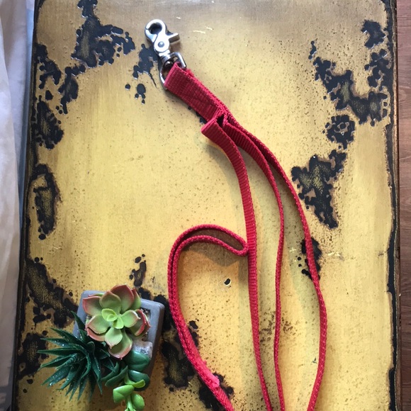 Heavy Duty Dog Leash- 3 Hand Holds - Picture 3 of 3